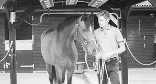 Freddy Steele: From Pony Club to International Arenas