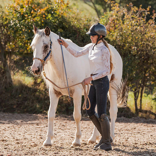 Horse Training Sticks & Flags