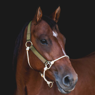 Nylon Lariat Hybrid Halter