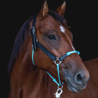 Classic Leather Hybrid Halter® Stainless