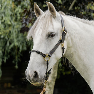 Classic Leather Hybrid Halter®