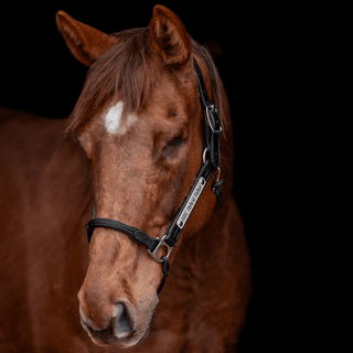 Wide Nose Hybrid Halter KNOTLESS