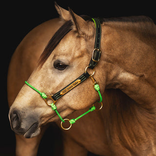 2025 WPRA x HEC Top 15 Halter - Lime Green
