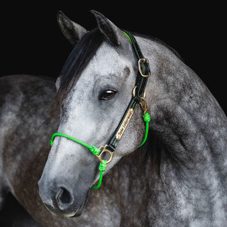 2025 WPRA x HEC Top 15 Halter - Lime Green