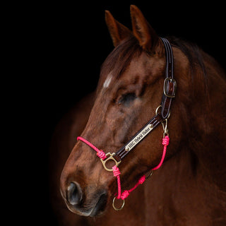 Pink Lariat Hybrid Halter