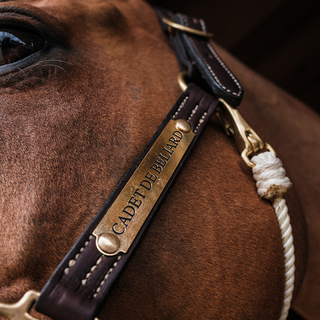 Halter Nameplate - Brass