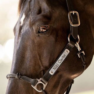 Classic Leather Hybrid Halter® Stainless