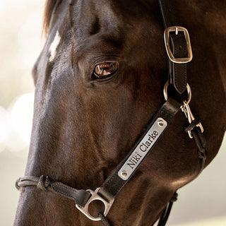 Halter Nameplate - Stainless