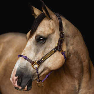 Classic Leather Hybrid Halter®