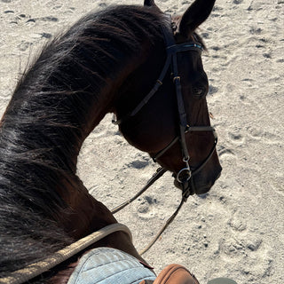 Buckle End Reins