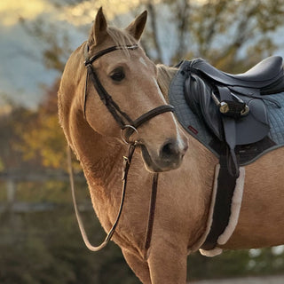 Buckle End Reins