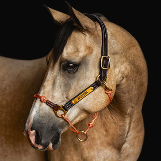 Classic Leather Hybrid Halter®