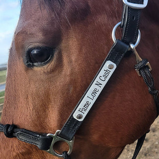 Halter Nameplate - Stainless