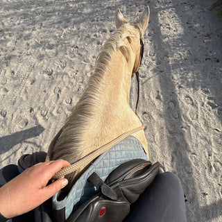 Snap On Rope Reins
