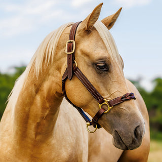 TROI Leather Twist Nose Halter - Brass