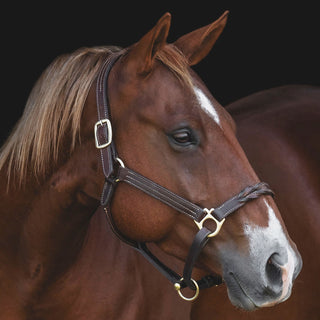 TROI Leather Twist Nose Halter - Brass