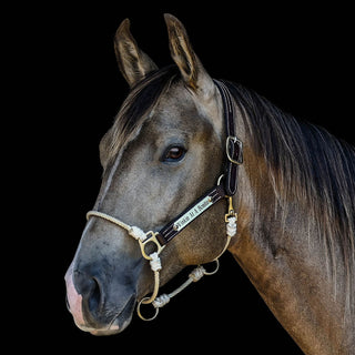 Leather Lariat Hybrid Halter®