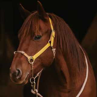 Synthetic Leather Hybrid Halter