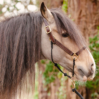 Classic Leather Hybrid Halter®