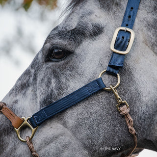 Classic Nylon Hybrid Halter®