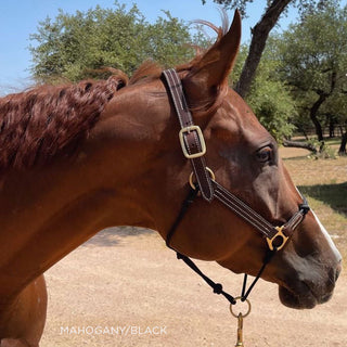Classic Leather Hybrid Halter®