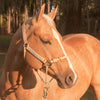 The HYBRIDHalter®: The Horse Training Halter That Revolutionizes Horse Halters