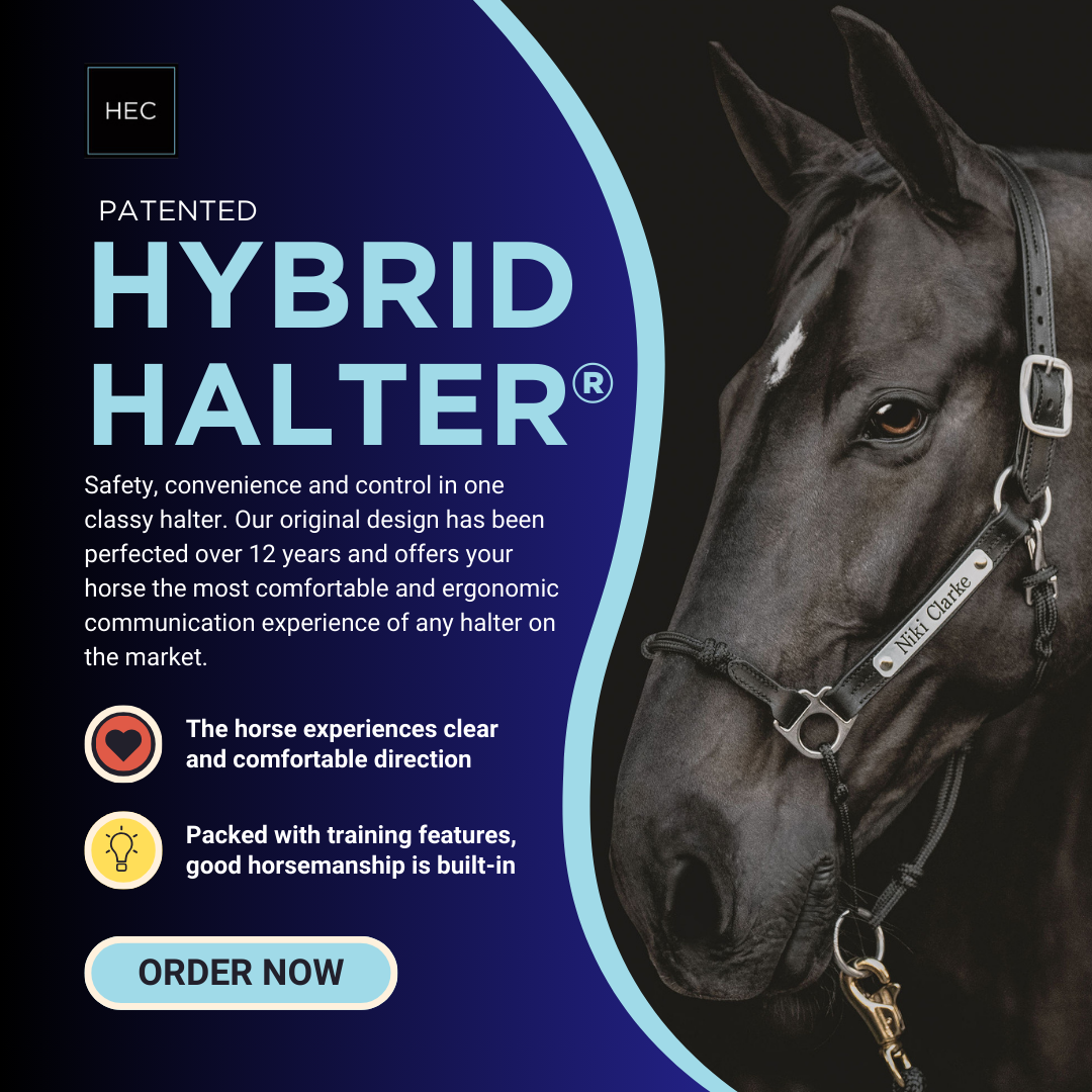 Classic Leather Hybrid Halter® Stainless – HEC Horse Education Company