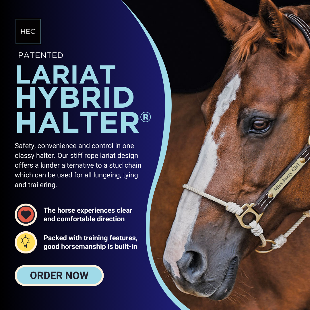 Leather Lariat Hybrid Halter® – The Horse Education Company Leather Lariat Hybrid Halter® – The Horse Education Company
