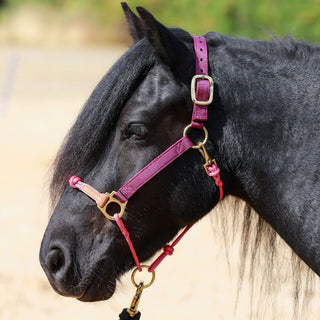 Classic Nylon Hybrid Halter®