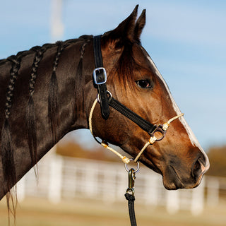 Black Leather Lariat Hybrid Halter Stainless