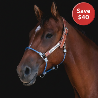 Blue Lariat Stainless Hybrid Halter