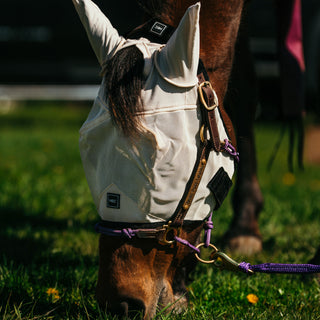 Fly Mask