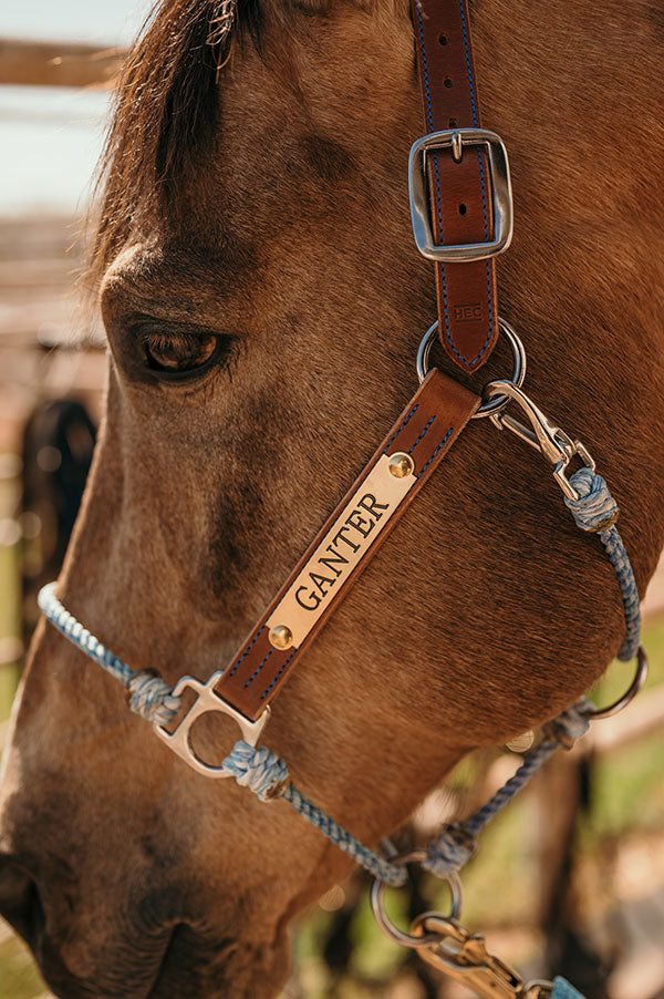 Barrel Racer Jackie Ganter x Official HEC Hybrid Halter® – HEC
