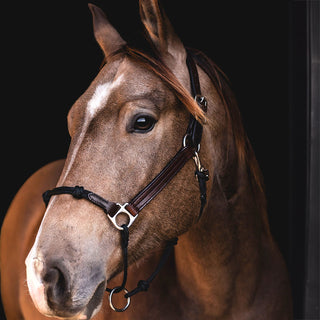 Classic Leather Hybrid Halter® Stainless