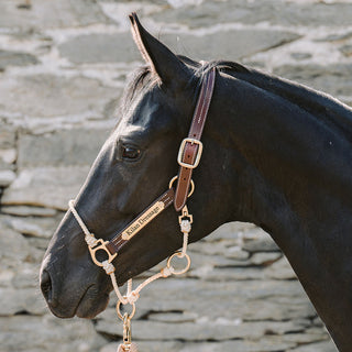 Leather Lariat Hybrid Halter®
