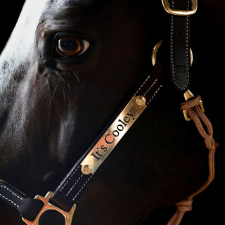 Halter Nameplate - Brass