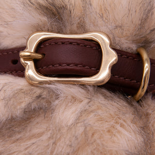 Soft Padded Leather Dog Collar