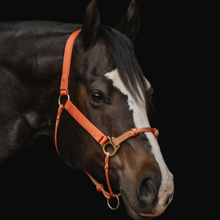 Classic Nylon Hybrid Halter®