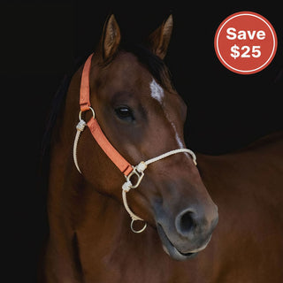 Nylon Lariat Hybrid Halter