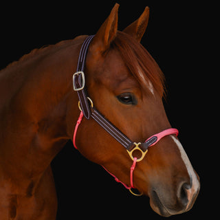 Wide Nose Hybrid Halter KNOTLESS