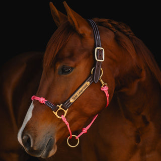 Classic Leather Hybrid Halter®