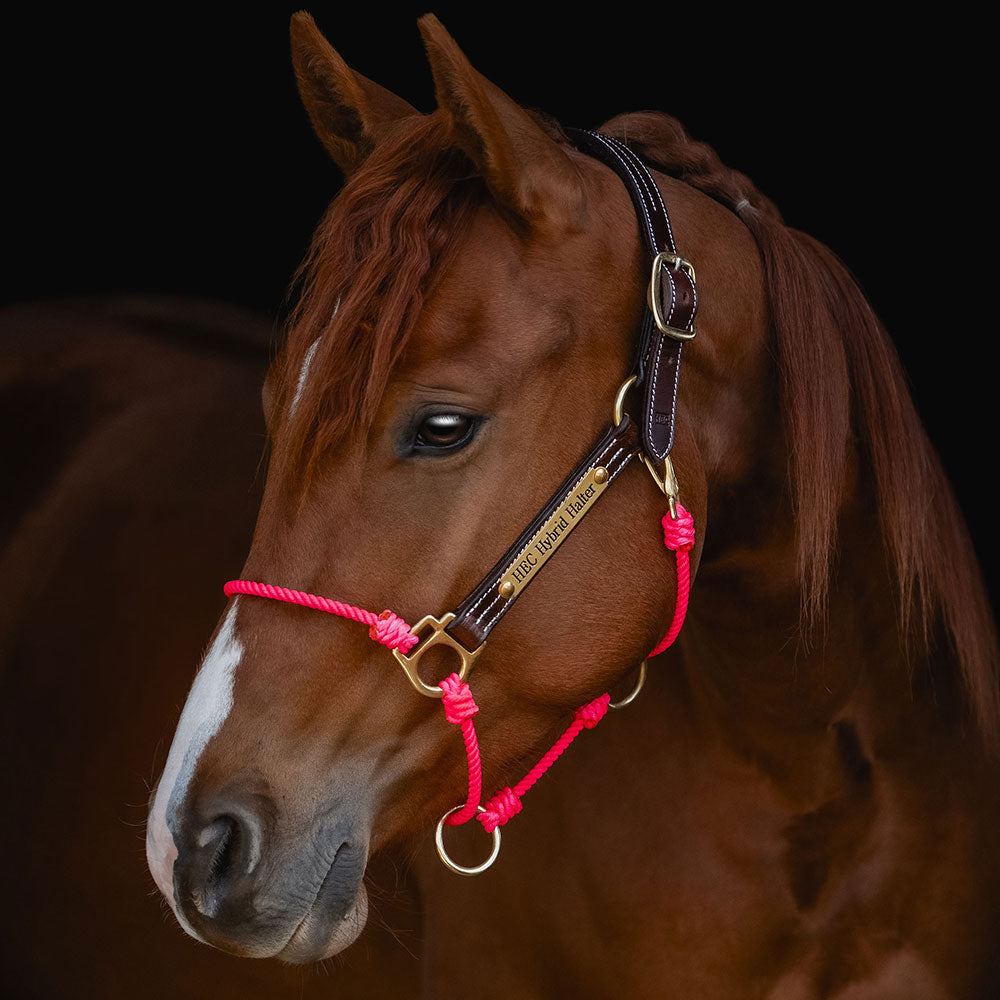 Mb Collection Halter Pink Lariat Hybrid Halter – HEC Horse Education Company