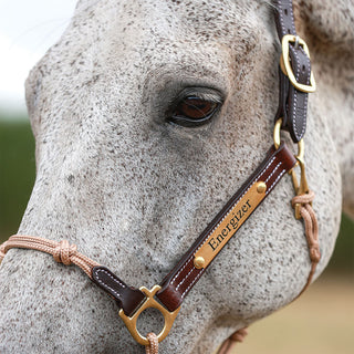 Classic Leather Hybrid Halter®