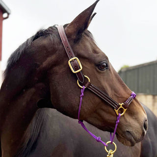 Classic Leather Hybrid Halter®