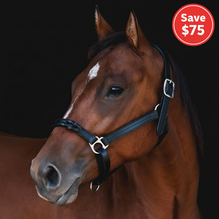 TROI Leather Twist Nose Halter - Stainless