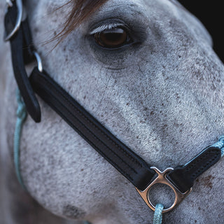 Classic Leather Hybrid Halter® Stainless