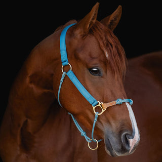 Classic Nylon Hybrid Halter®