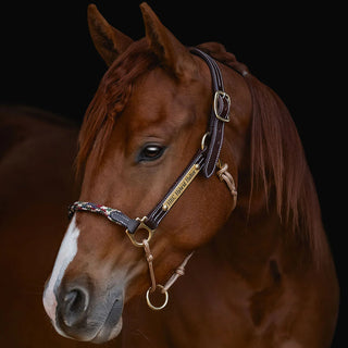 Wide Nose Hybrid Halter KNOTLESS
