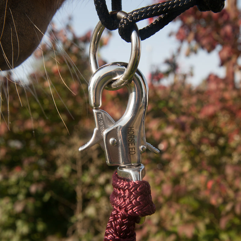 Ultimate Lead Rope Snap – The Horse Education Company