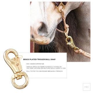 Shop for and Buy Large Brass Plated Snap Clip Key Ring - Economy